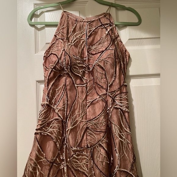 Aidan Mattox Mauve Champagne Evening Gown - Picture 5 of 9